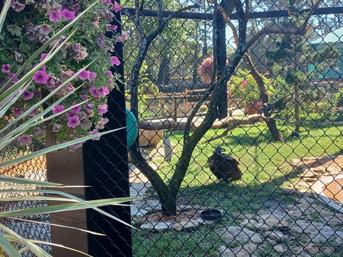 David Traylor Zoo of Emporia